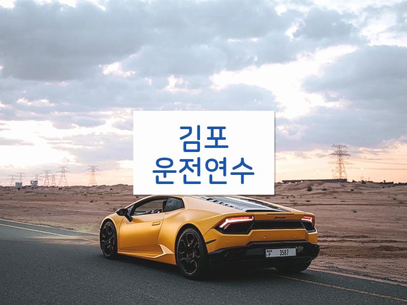 김포운전연수 후기