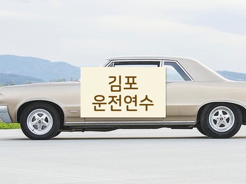 김포운전연수 후기