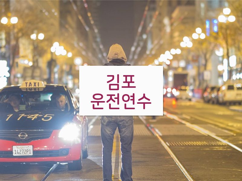 김포운전연수 후기