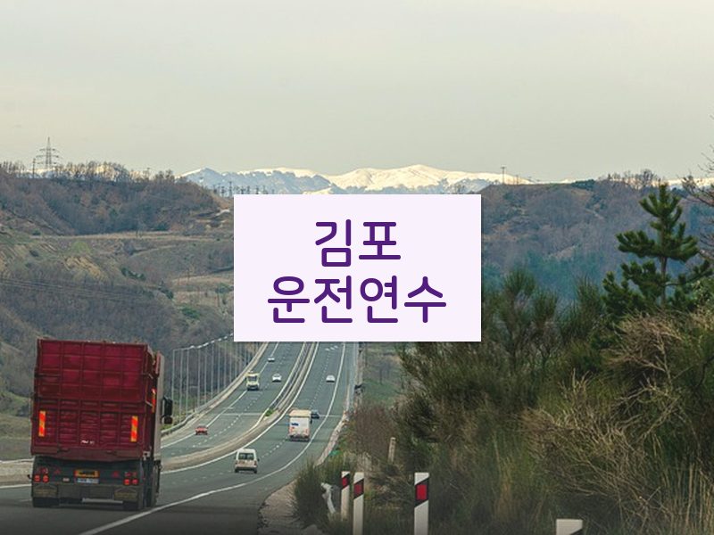 김포운전연수 후기