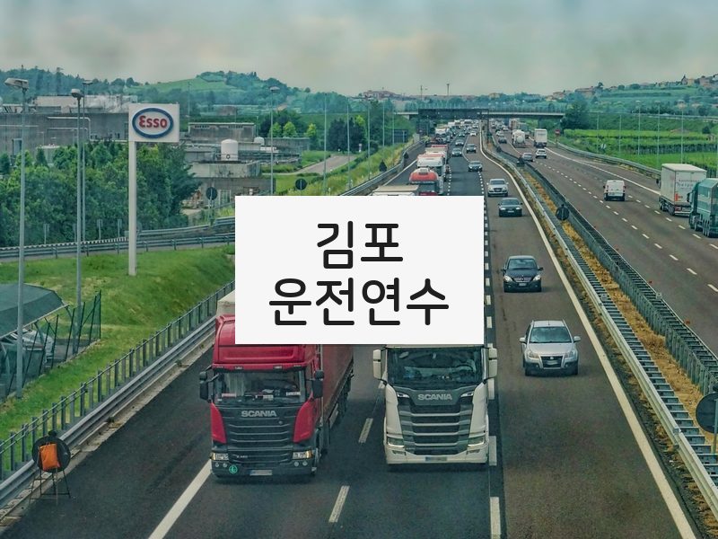 김포운전연수 후기