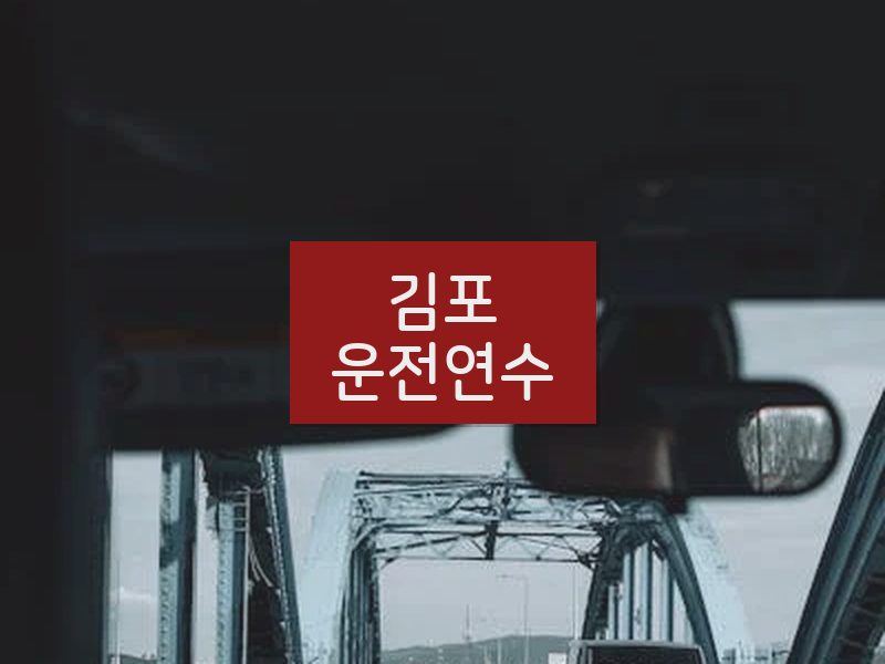 김포운전연수 후기