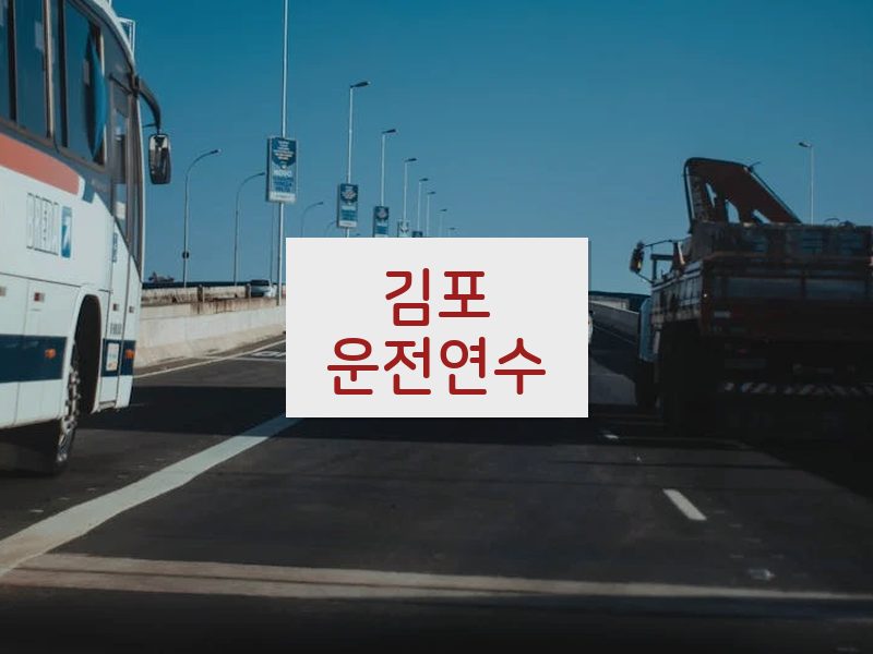 김포운전연수 후기