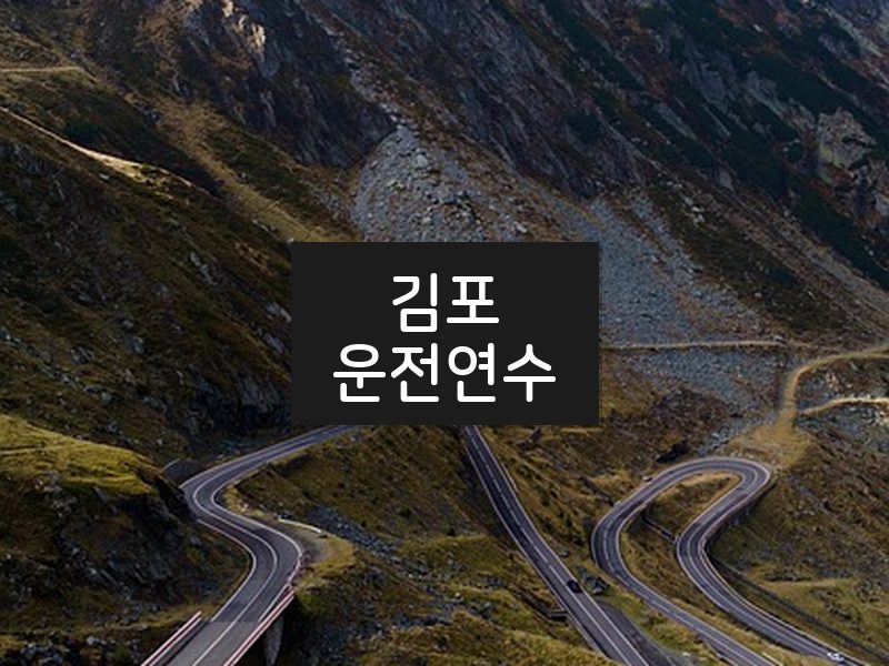 김포운전연수 후기