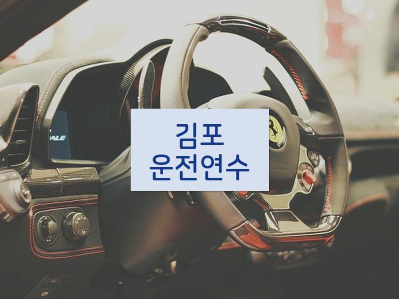 김포운전연수 후기