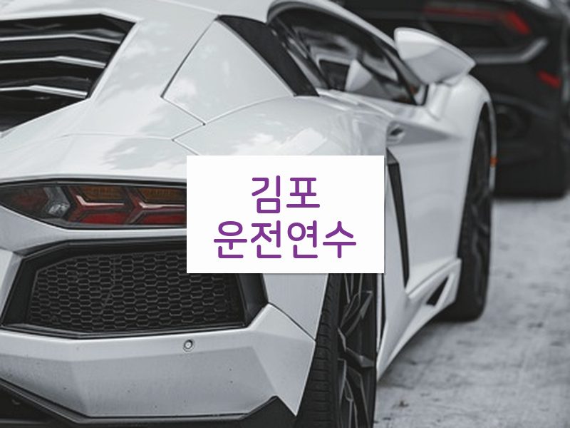 김포운전연수 후기