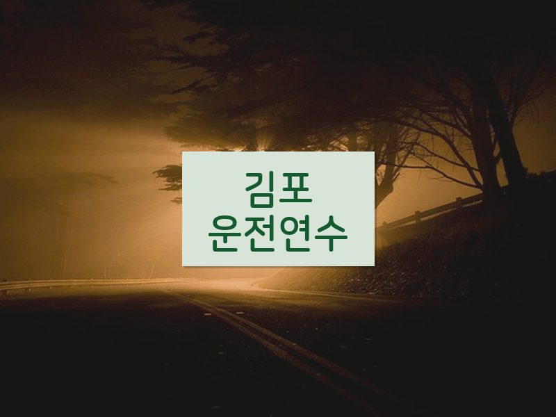 김포운전연수 후기