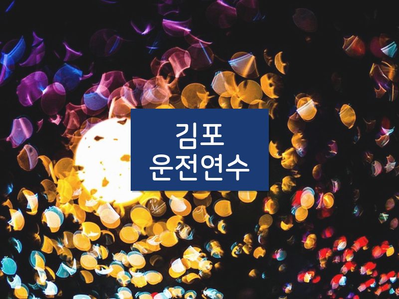 김포운전연수 후기