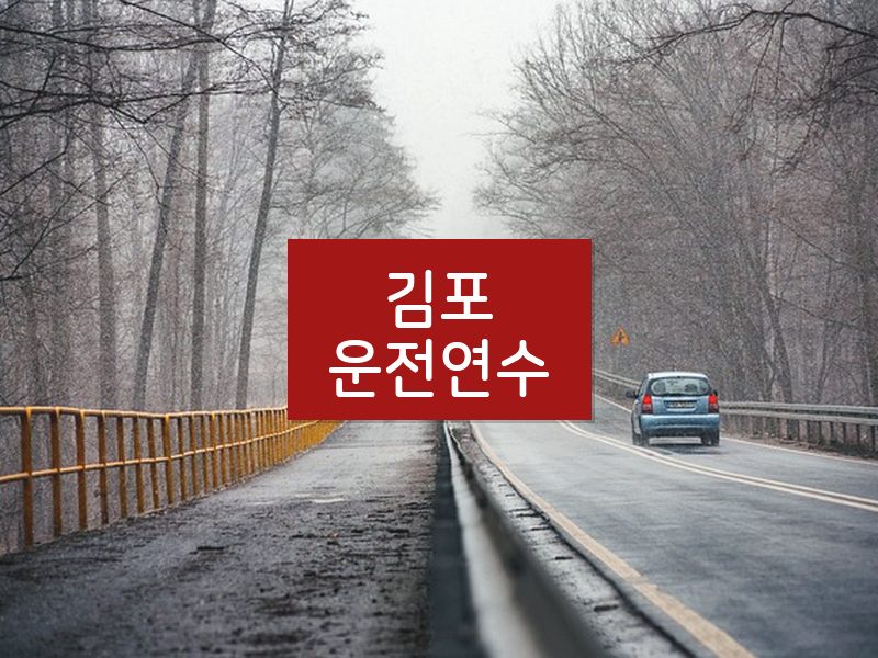 김포운전연수 후기