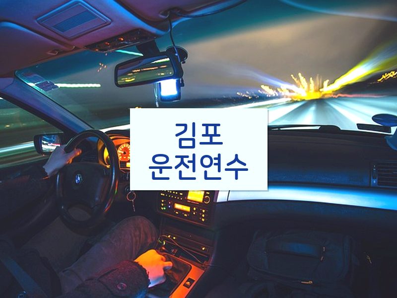 김포운전연수 후기