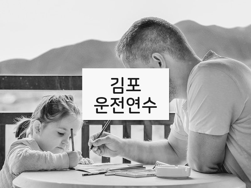 김포운전연수 후기
