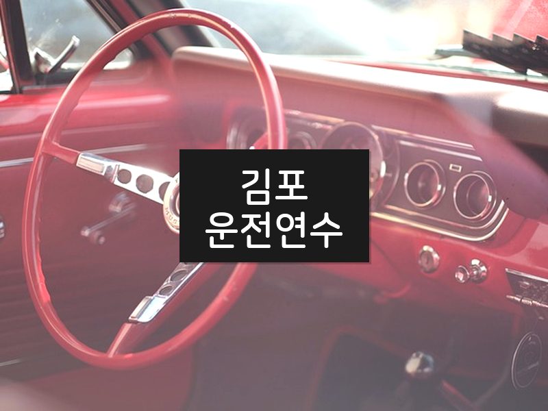 김포운전연수 후기