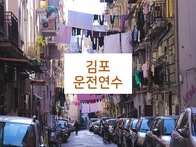김포운전연수 후기