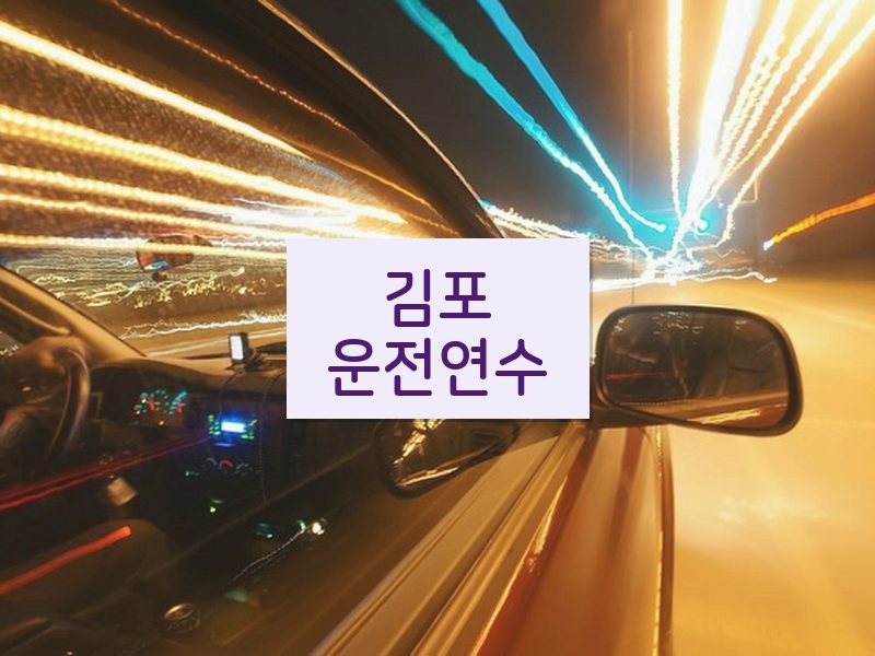 김포운전연수 후기