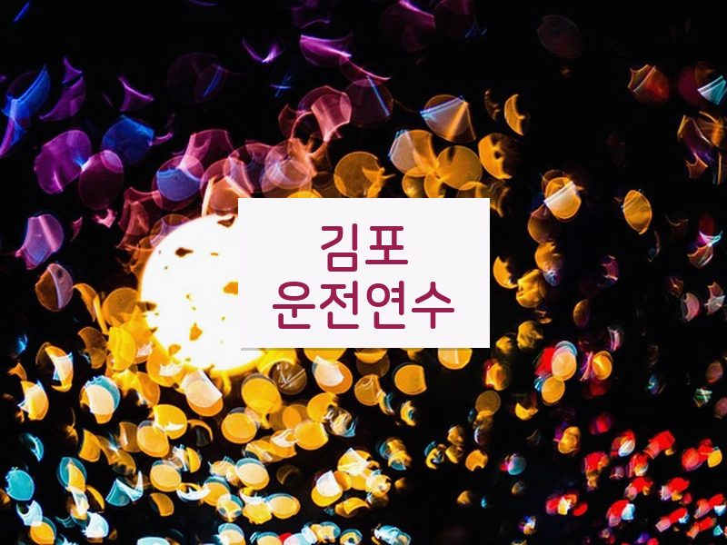 김포운전연수 후기