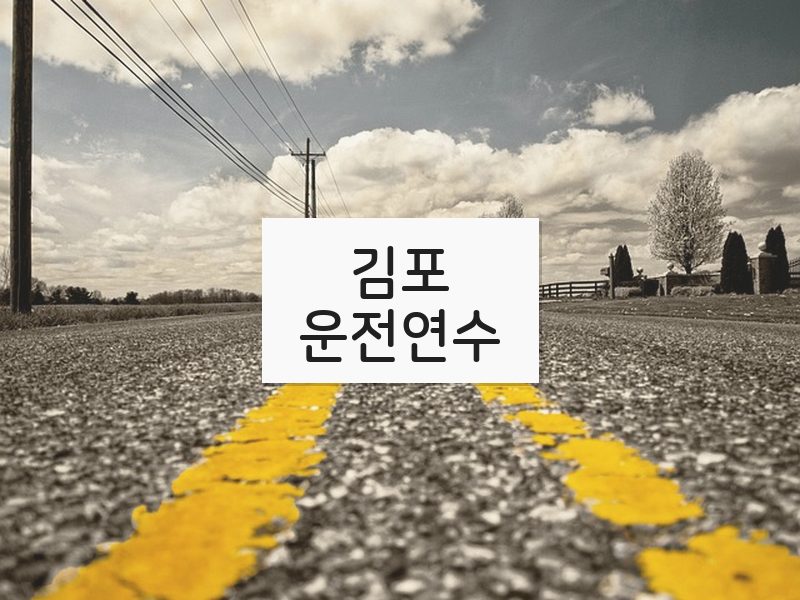 김포운전연수 후기