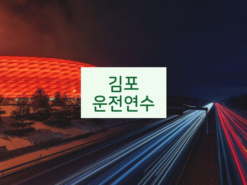 김포운전연수 후기