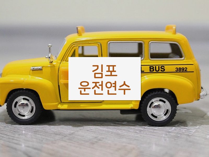 김포운전연수 후기
