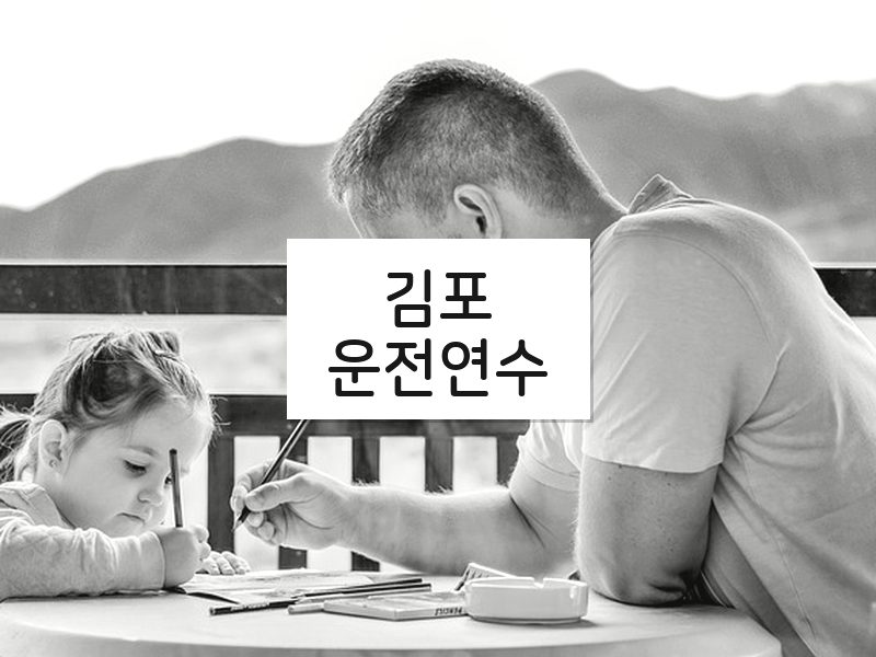 김포운전연수 후기