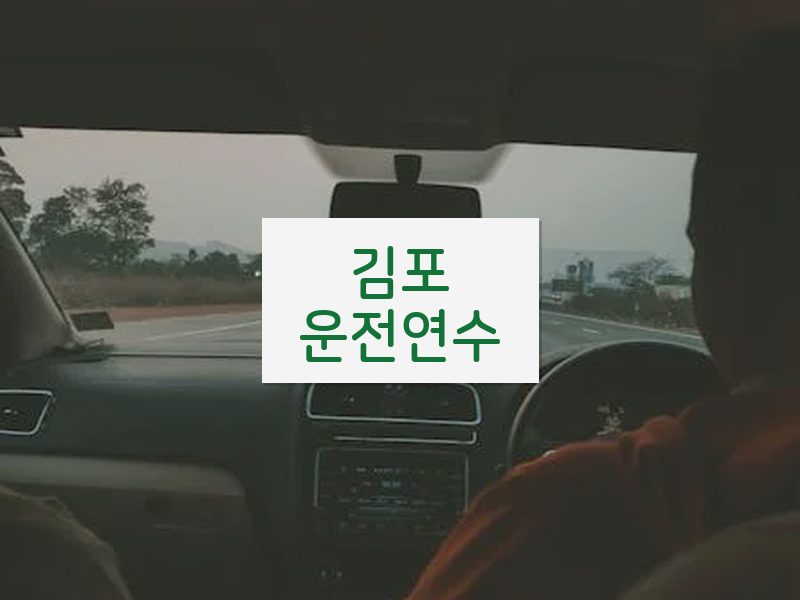 김포운전연수 후기