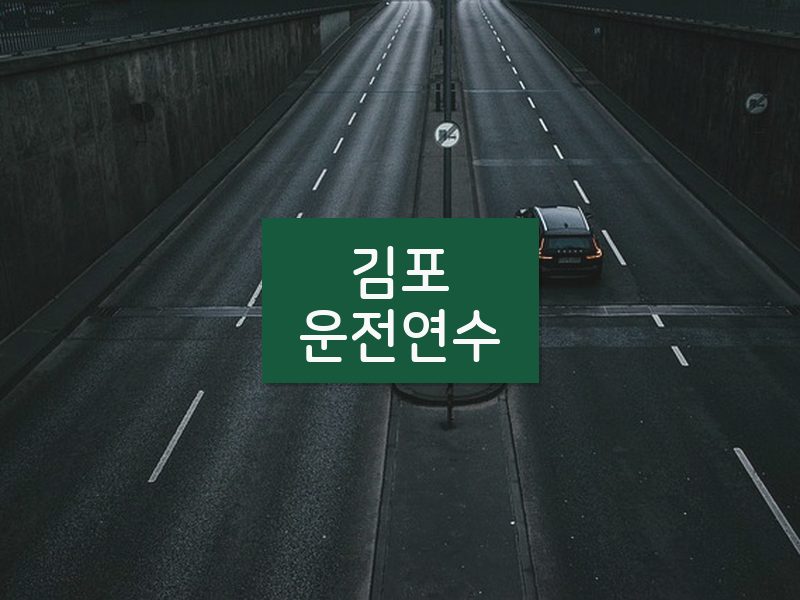 김포운전연수 후기
