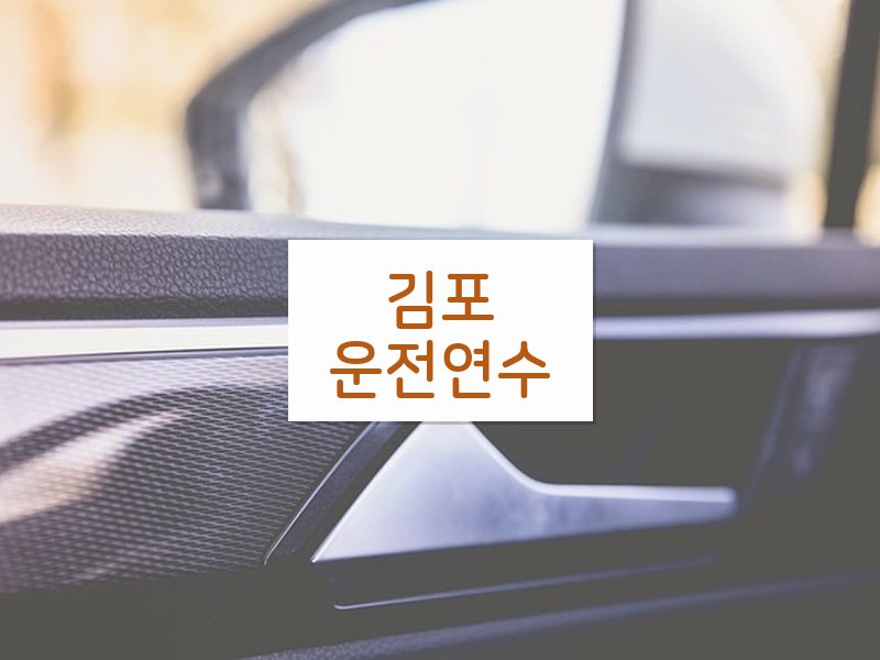 김포운전연수 후기