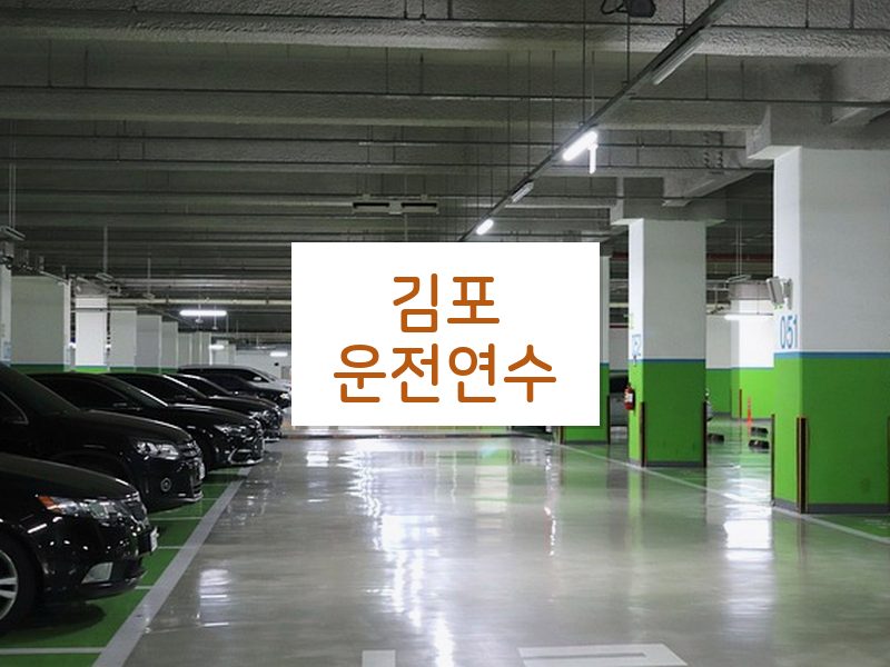 김포운전연수 후기