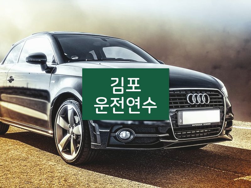 김포운전연수 후기