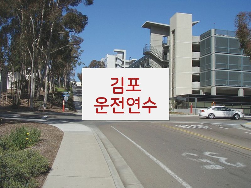 김포운전연수 후기