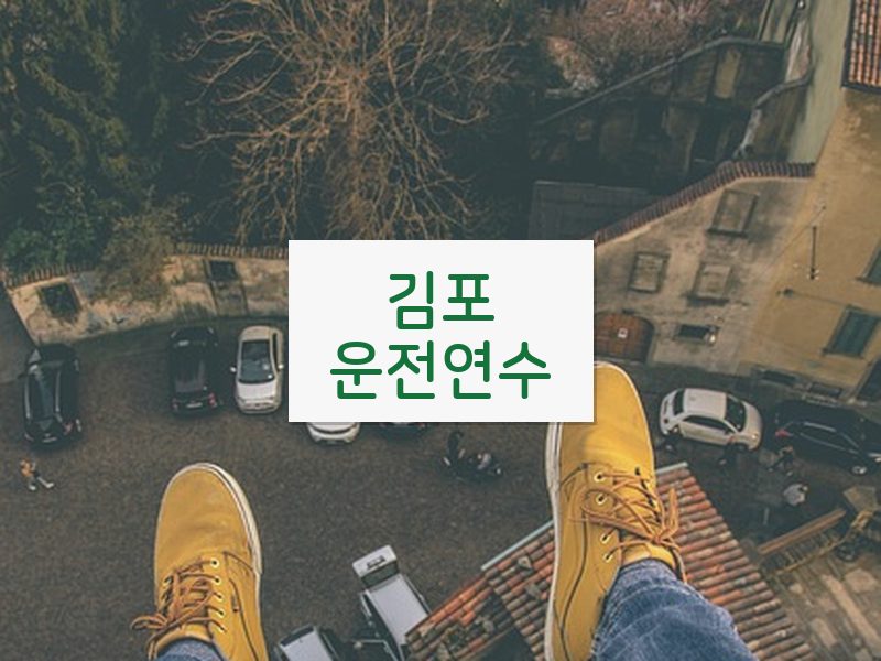 김포운전연수 후기