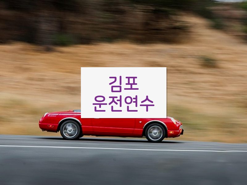 김포운전연수 후기