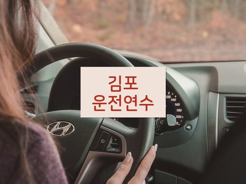 김포운전연수 후기