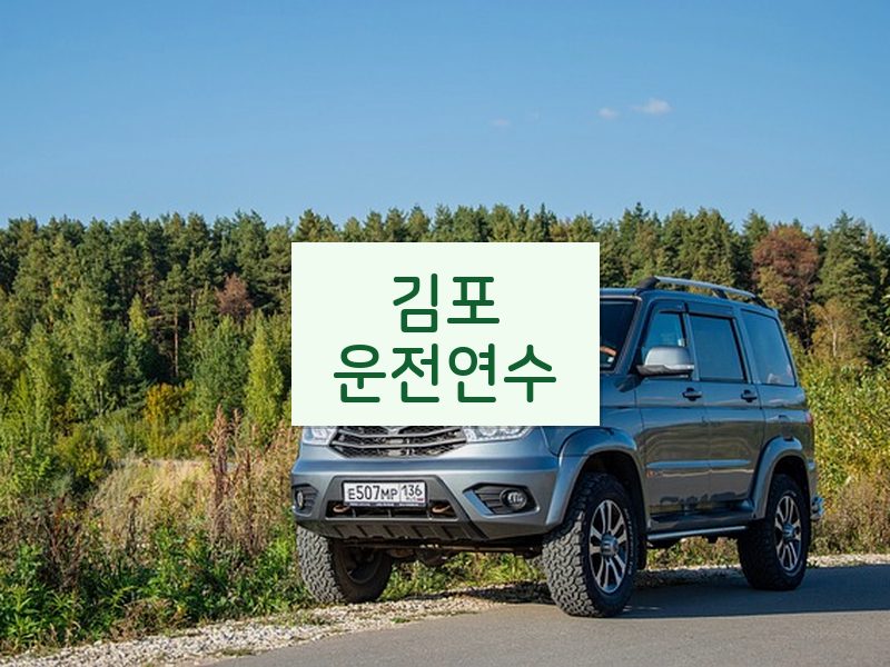김포운전연수 후기
