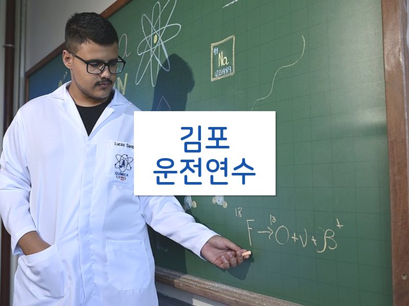 김포운전연수 후기