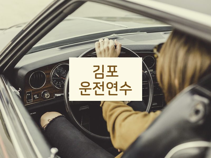 김포운전연수 후기