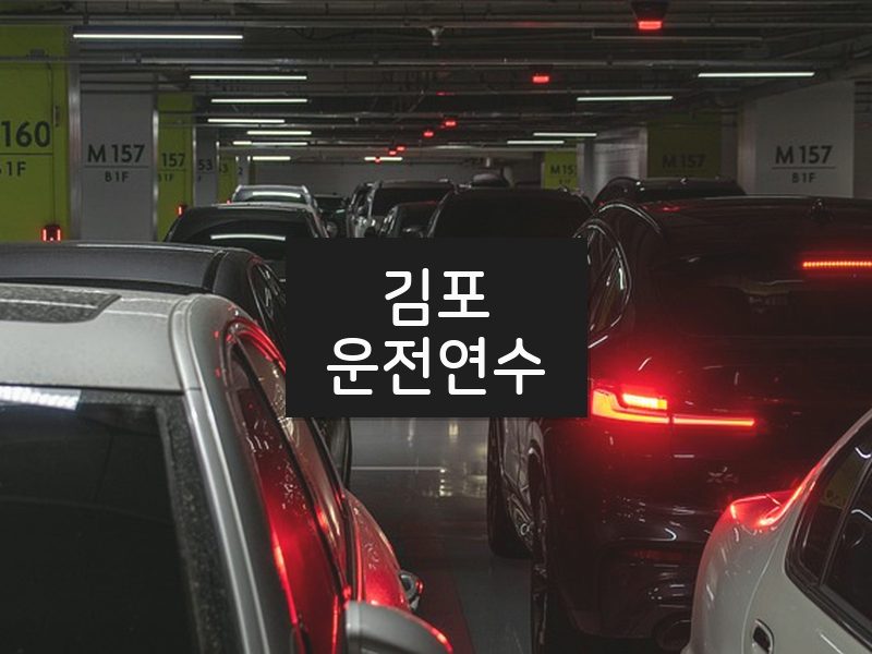 김포운전연수 후기