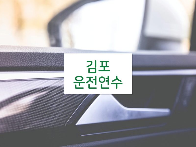 김포운전연수 후기