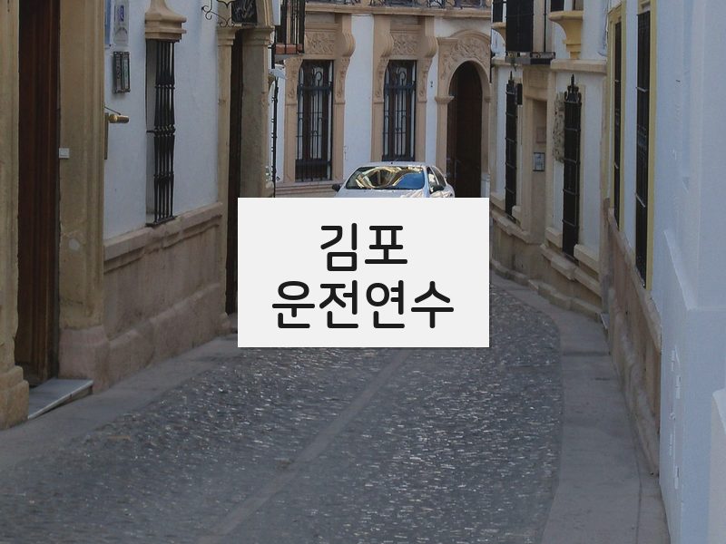 김포운전연수 후기