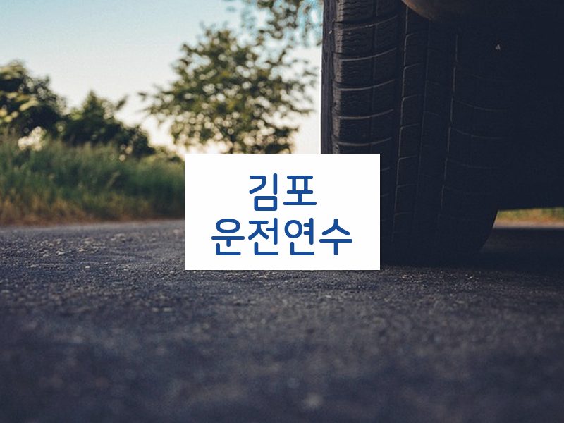 김포운전연수 후기