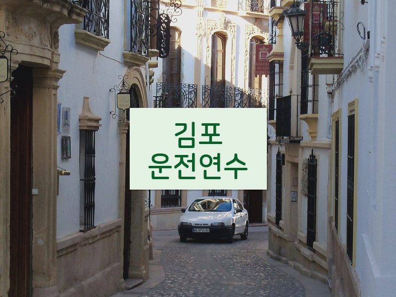 김포운전연수 후기
