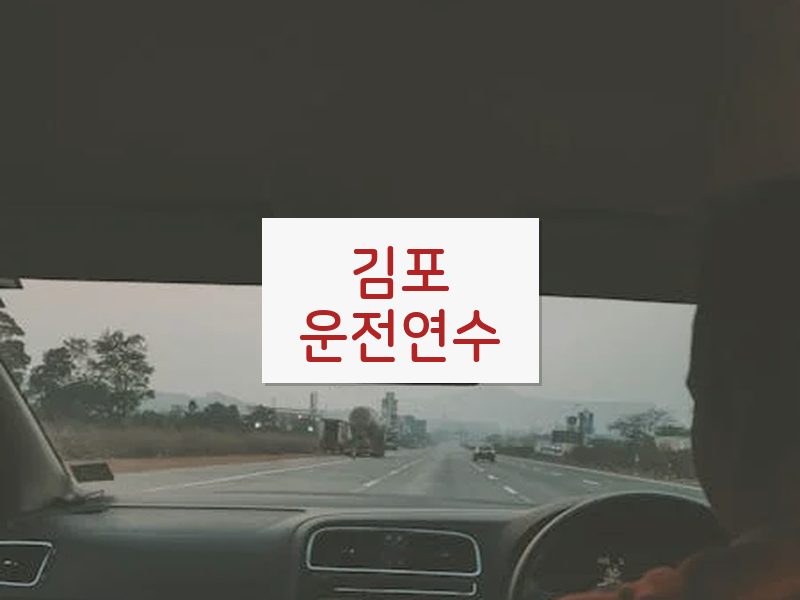 김포운전연수 후기