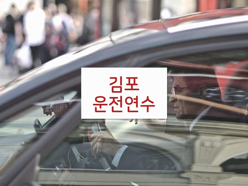 김포운전연수 후기
