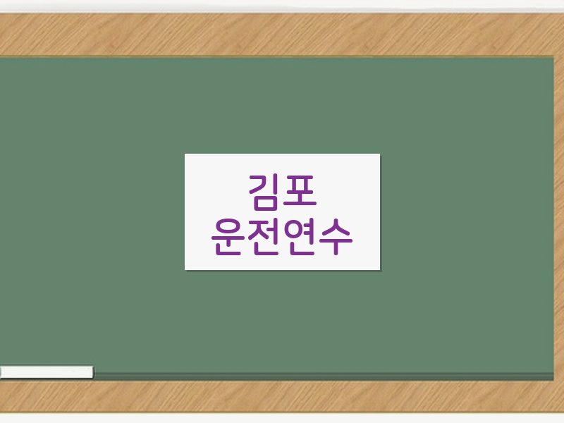 김포운전연수 후기