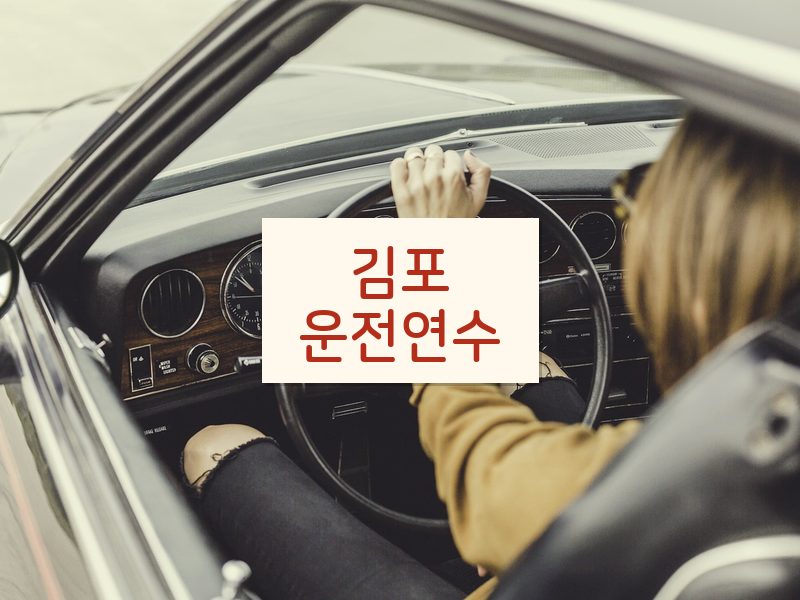 김포운전연수 후기