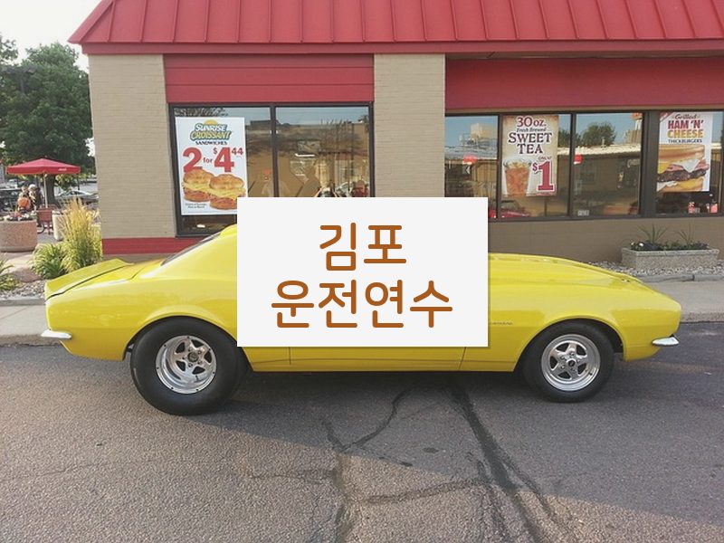 김포운전연수 후기