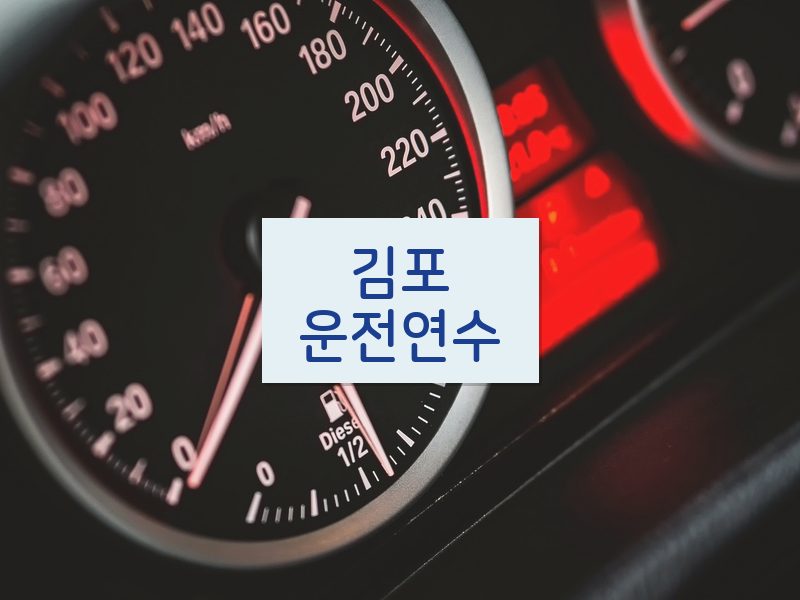 김포운전연수 후기