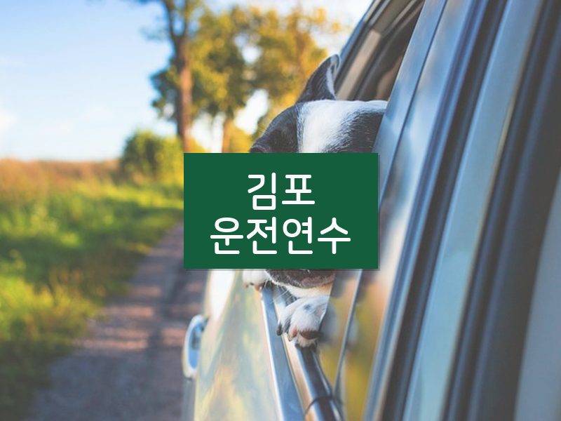 김포운전연수 후기