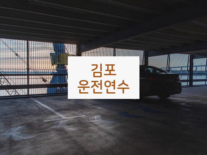김포운전연수 후기