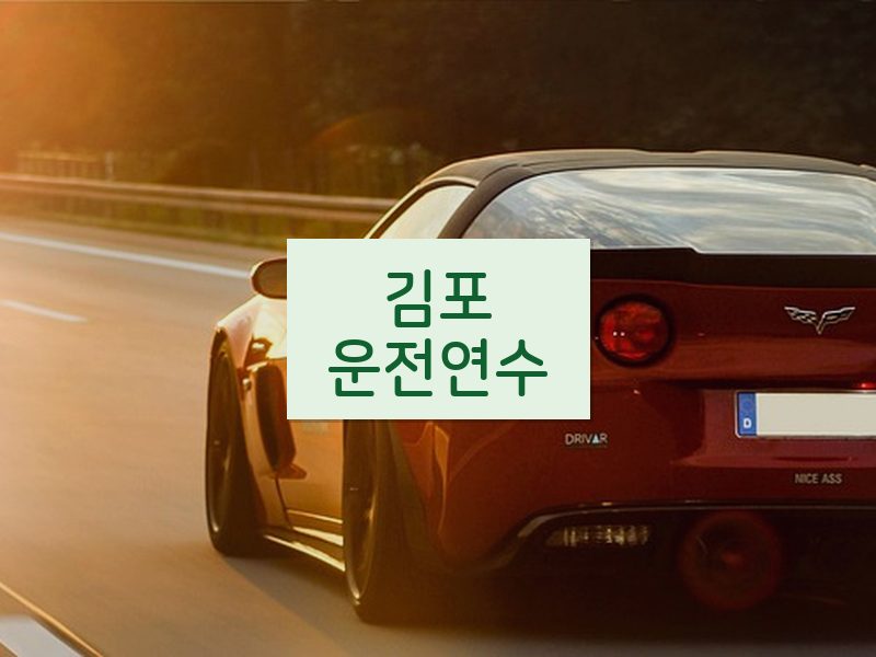 김포운전연수 후기