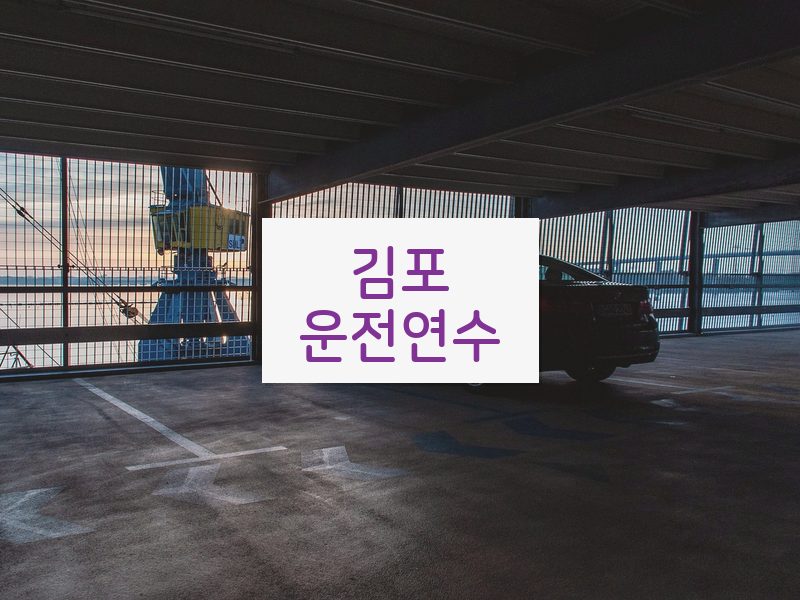 김포운전연수 후기